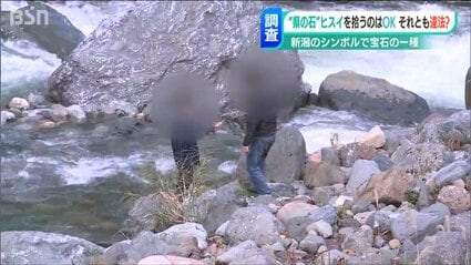 小滝川採取 天然石 庭石 約80cm級 真贋不明 安全安心にヒスイ探しを」小滝川ヒスイ峡など“採取禁止エリア”に