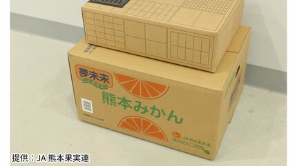 箱買いミカンは「逆さま」に？潰れる“悲劇”を防ぐ、プロ直伝『ミカン