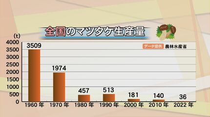 大分県産マコモダケ 令和5年分は終了しました。 2025年発送】奄美大島産 マコモダケ 約1.5kg（750g×2袋） 鹿児島