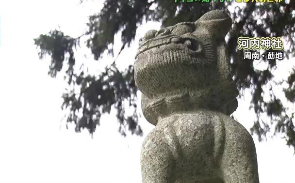 狛犬、実は犬じゃなかった･･･　地域と年代によってここまで違う、深すぎる狛犬の世界|TBS NEWS DIG
