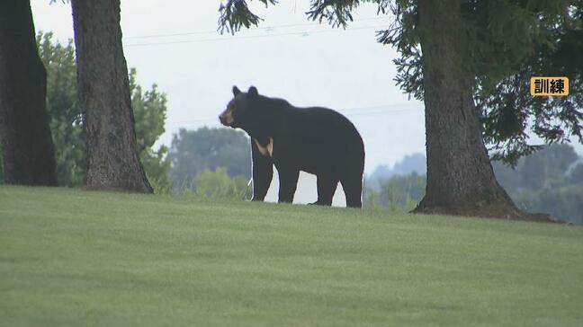クマが市街地に出没したら？市町村の判断で猟銃使用が可能に　法改正を目前に控え対応訓練　富山|TBS NEWS DIG