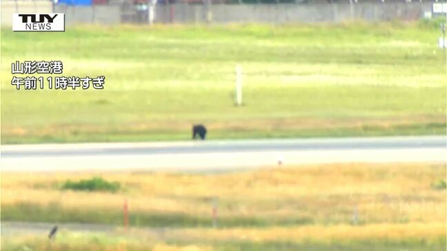 クマ出没で終日閉鎖の山形空港　27日は通常運航の予定|TBS NEWS DIG