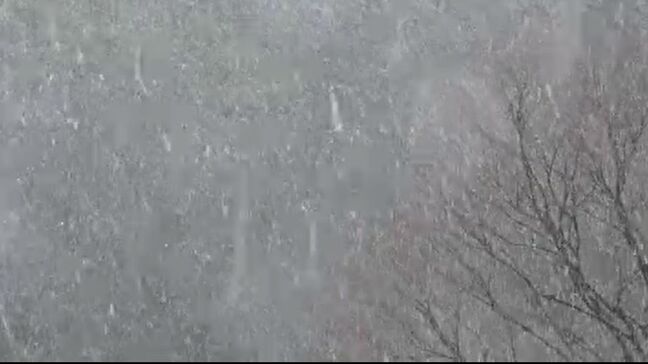 3連休は強い寒気で石川県内は警報級の大雪のおそれ 8日は各地で厳しい寒さに|TBS NEWS DIG