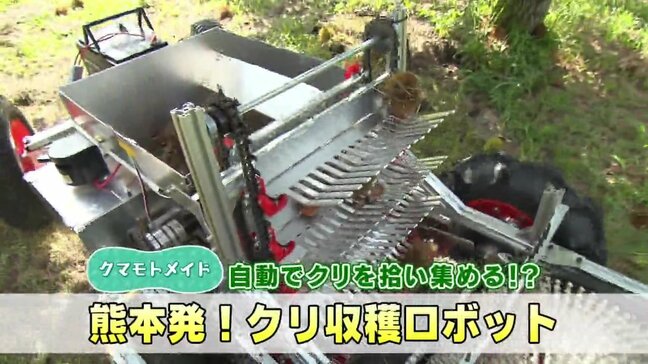 クリ拾いって大変…だったらこれ! これまでなかった?『全自動クリ収穫ロボット』に農家は期待|TBS NEWS DIG
