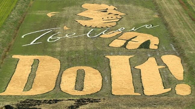 ツアータイトル「Do It!」 矢沢永吉さんの姿が浮かぶ「永ちゃん田んぼ」「冬バージョン」に模様替え【岡山】|TBS NEWS DIG