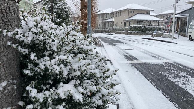 【大雪情報】積雪・河口湖5センチ、山中湖村10センチ 山梨県東部・富士五湖では大雪の可能性は低くなる|TBS NEWS DIG