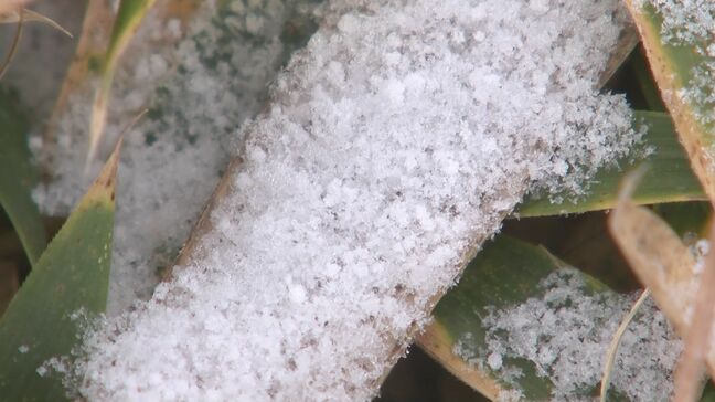 この冬一番の寒気到来 竹田市で今季最低気温マイナス2.8度 大分 |TBS NEWS DIG