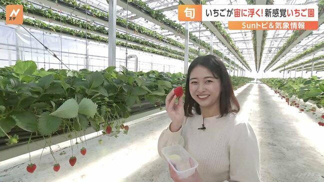 【旬】約1.7倍栽培できる?立ったままいちご狩りができる?全国でも珍しい“リフト式の高設栽培”とは【Sunトピ】|TBS NEWS DIG