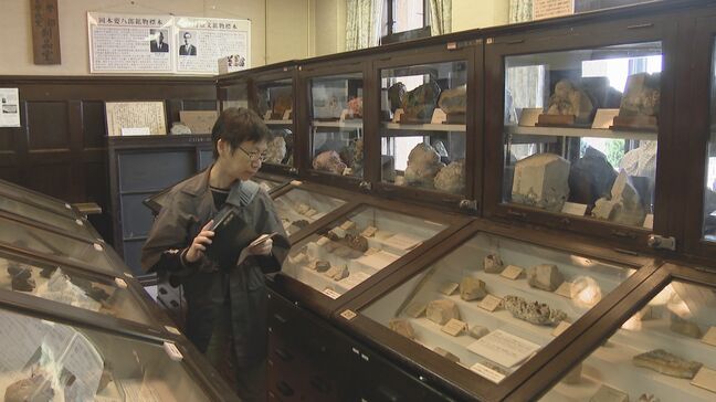 貴重な標本を公開「博物の森で遊ぼう」|TBS NEWS DIG