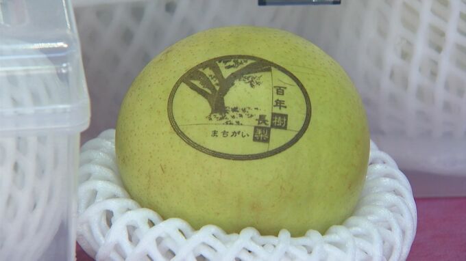 敬老の日を前に「長樹まちがい梨」販売開始　島根県安来市の道の駅　|　BSSニュース | BSS山陰放送