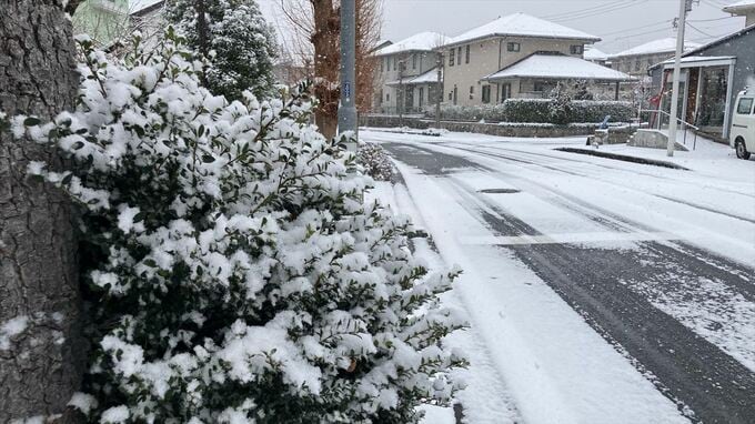 【大雪情報】積雪・河口湖５センチ、山中湖村10センチ　山梨県東部・富士五湖では大雪の可能性は低くなる　|　山梨のニュース | ＵＴＹテレビ山梨