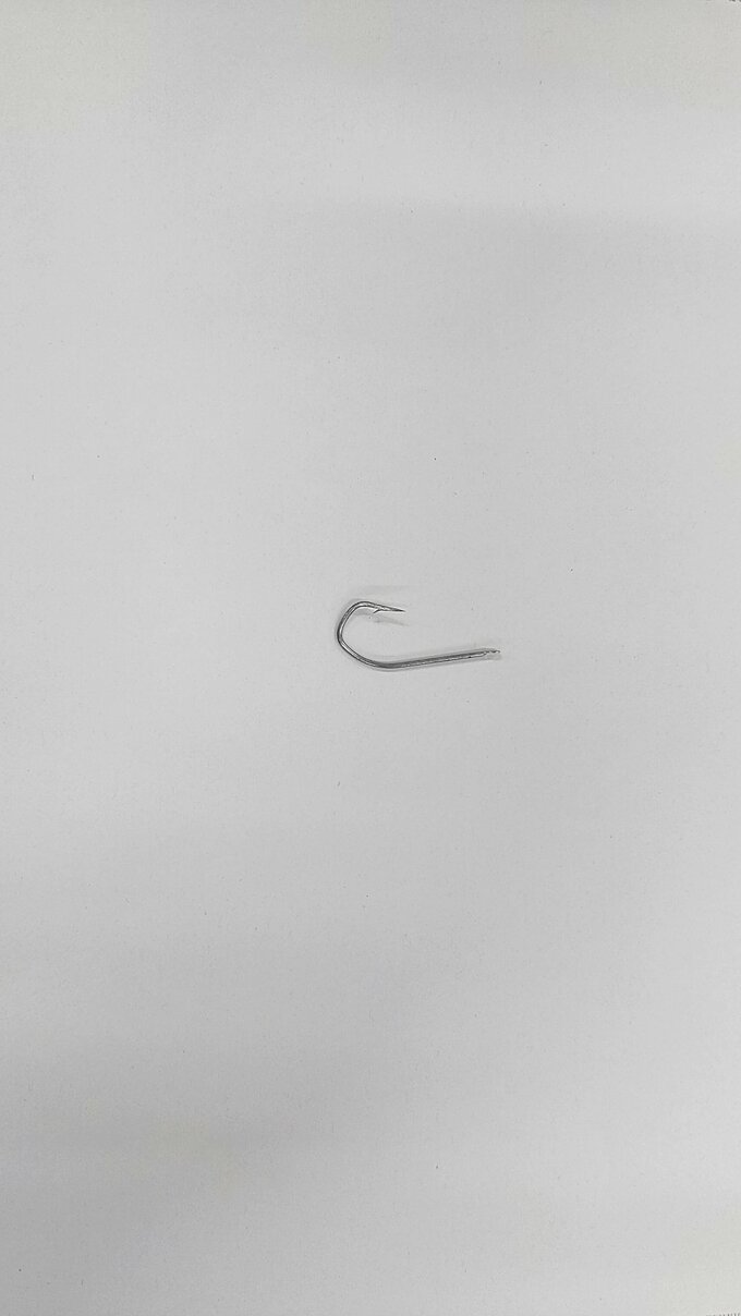 長さ約5センチの”釣り針”が…給食のタラ汁　中学生の健康状態に問題なし　富山・朝日町　|　富山のニュース｜天気・防災｜チューリップテレビ