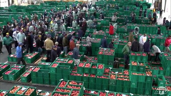 「青森のリンゴが評価された証し」2023年産リンゴは1箱20kg入りの平均価格が初めて6000円超！　　|　青森のニュース│ATV NEWS│青森テレビ