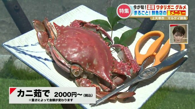 贅沢するならカニ料理！裏メニューに王道イタリアンも うま味が詰まった今が旬の『ワタリガニ』グルメ　|　熊本のニュース｜RKK NEWS｜RKK熊本放送