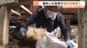 記録的大雨から1か月 氷見でハトムギ収穫「復興に向けた力に」災害ボランティアの復旧活動続く 富山　|　富山のニュース｜天気・防災｜チューリップテレビ