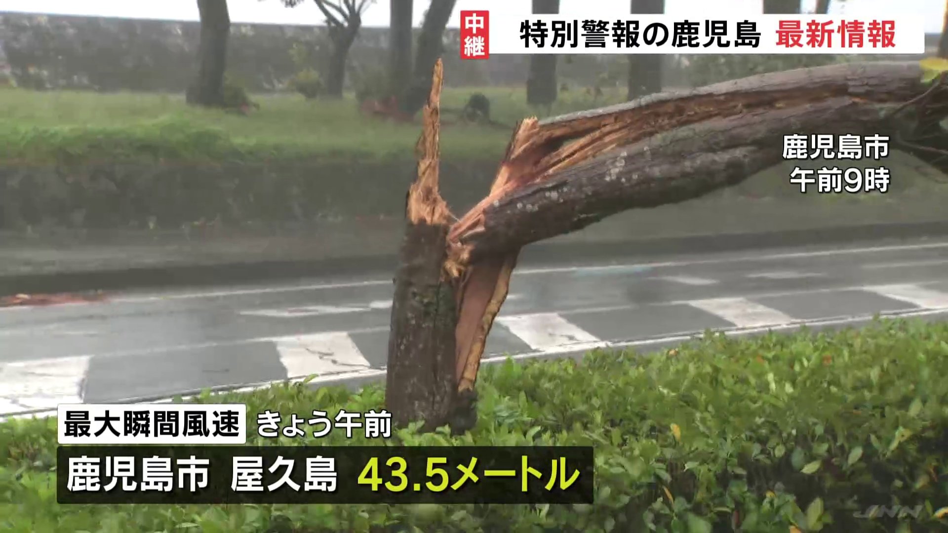 各地で木や標識が倒れる強風 台風14号接近 鹿児島市と屋久島で最大瞬間風速43 5メートル観測 最大級の警戒を Tbs News Dig