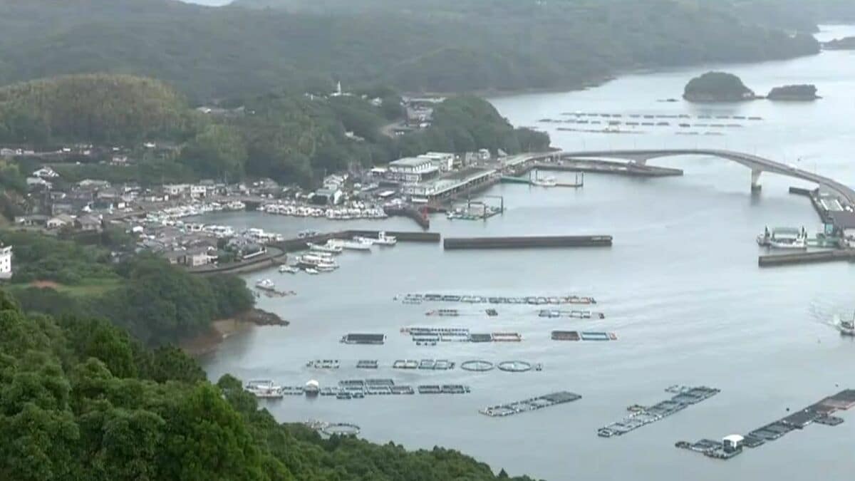赤潮により長島町で養殖ブリなど死ぬ　被害数や金額は調査中であす26日県が現地調査　鹿児島
