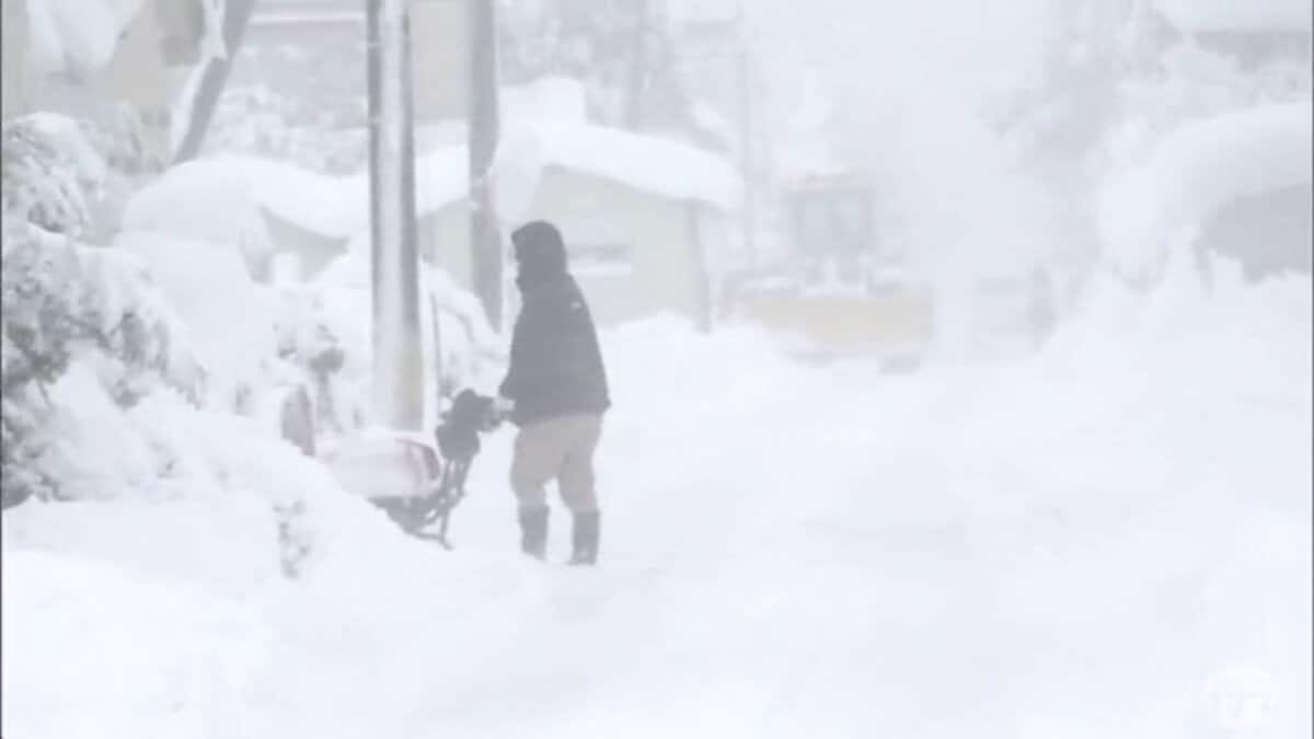 『ドカ雪』で約7200戸が停電・小中高33校が臨時休校に… 一晩で約40~50cmの今シーズン一番の積雪を観測のところも 湿った重い雪で交通 ...