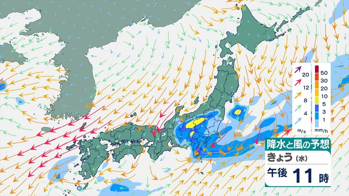 【関東甲信】警報級の期間や地域が拡大する可能性も　10日明け方にかけ、雷を伴った激しい雨や非常に激しい雨の降る所が　【雨と風のシミュレーション・発雷確率】