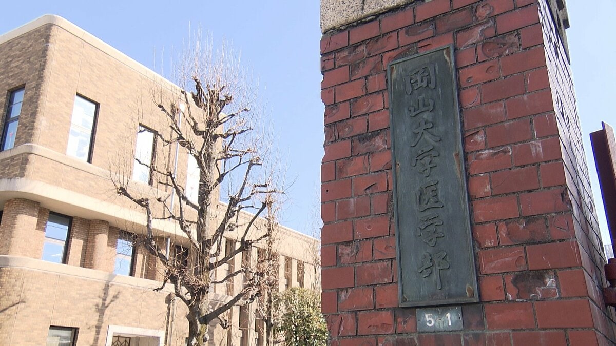 「味方だと思っていた細胞が別のがんを助けてしまう」がん免疫療法で「隠れていたリンパ腫」の細胞増殖が促されるメカニズムの一端を解明【岡山大学などの研究グループ】