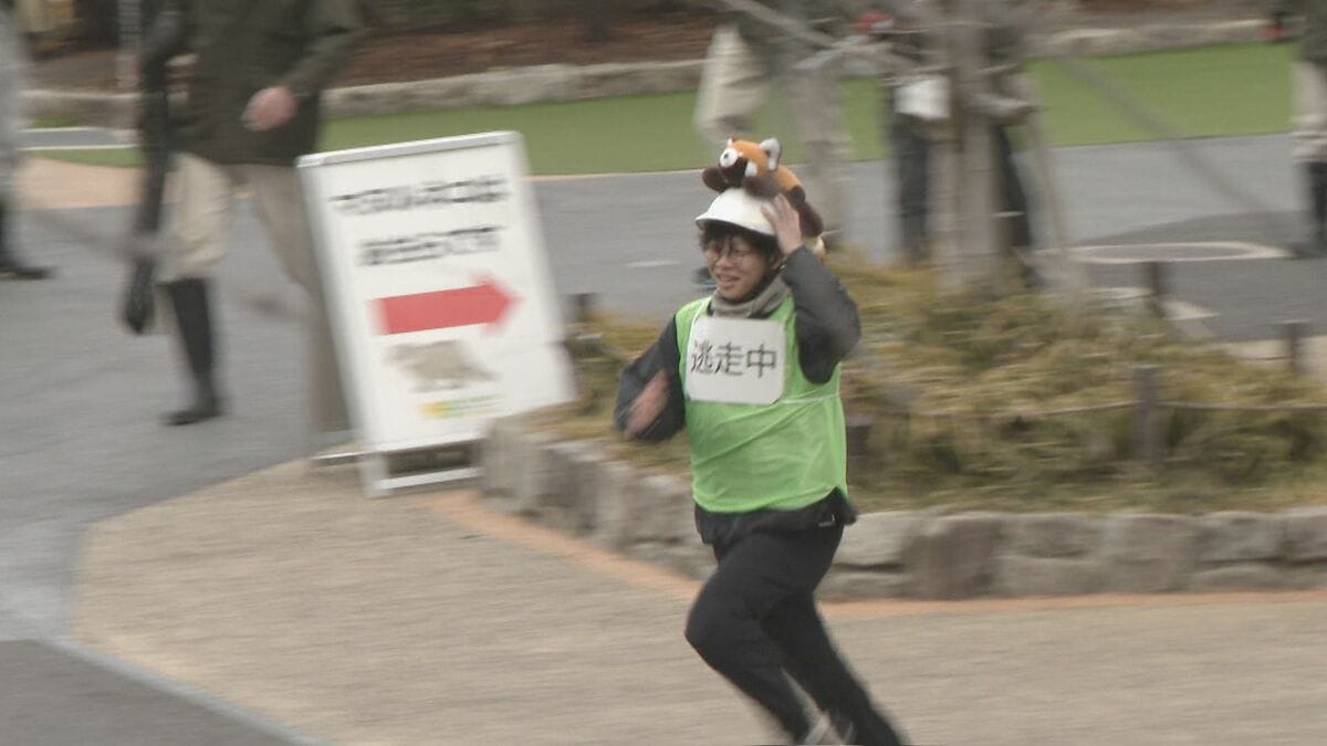 動物の脱走を想定した捕獲訓練 ｢もし逃げても万全の対応ができるように｣  レッサーパンダ役の職員が園内を逃げ回る 名古屋･東山動植物園