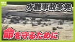 「水深は『ひざ下』まで」「声を出して飛び込むのは絶対ダメ」「川辺のバーベキューは『到着してすぐ』が魔の時間」水の事故がすでに多発!いのち守るために必要な意識や行動は!?|TBS NEWS DIG