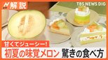 今が旬のメロン 農家に聞いた“見分け方”は「網目」「へこむ」「しっとり」【Nスタ解説】|TBS NEWS DIG