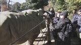 体験型「福袋」動物園の"ウラ側"潜入ツアー 1人5000円 シロサイのトレーニングに挑戦も　|　名古屋・愛知・岐阜・三重のニュース【CBC news】 | CBC web