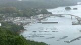 赤潮により長島町で養殖ブリなど死ぬ　被害数や金額は調査中であす26日県が現地調査　鹿児島|TBS NEWS DIG