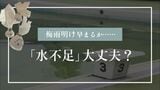 「水不足」大丈夫? プール授業は見送り 梅雨明け早まるか……節水の呼びかけも | 福岡のニュース|RKB NEWS|RKB毎日放送