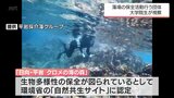 海の藻場の保全に取り組む日向市「平岩採介藻グループ」　九州大学院生たちが活動を視察|TBS NEWS DIG