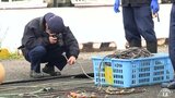 青森・大間沖で海中転落の男性死亡　ロープにからまった状態で発見　1人でウニかご漁に事故　|TBS NEWS DIG