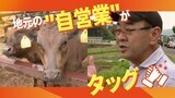 飼料高にあえぐ酪農家が“Win-Win提携”トウモロコシを国内調達へ|TBS NEWS DIG