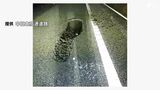 新東名高速道路の下り線に“穴” 長さ2m、幅60cm、深さ10cm 車3台がパンクなど被害=静岡・富士市 | 静岡のニュース | SBSNEWS | 静岡放送