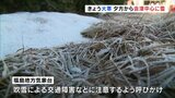 「大寒」も3月並みの暖かさ 夕方から会津中心に雪、21日にかけ吹雪に注意【福島・20日午前11時半現在】 | 福島のニュース│TUF