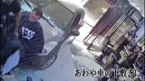 「振り向くと車が」理髪店に車が突っ込む!バスと列車の衝突にトレーラー炎上・悪質なひき逃げ・犬のサーフィンも カメラがとらえた“驚きの瞬間映像”|TBS NEWS DIG