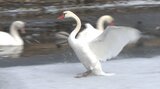 8日昼前にかけて大雪のおそれ 県北部全域に暴風雪・波浪警報を発表 路面凍結や高波に注意を 大分 | 大分のニュース|OBS NEWS|大分放送