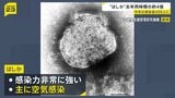 今年の「はしか」感染者数498人 去年の同時期の約4倍に　感染後10日ほどで発熱や発疹の症状　上野厚労大臣「必要に応じワクチン接種の検討を」|TBS NEWS DIG