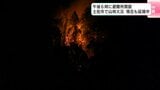 高知県土佐市で山林火災　現在も延焼中　午後6時に避難所も開設（午後6時15分時点）|TBS NEWS DIG