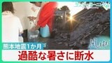 過酷な暑さに「水」問題　熊本地震1か月　断水続いた中「井戸水」が頼りに　雨水･プールの水…一つに頼らない“複数の水源”が重要【サンデーモーニング・風をよむ】|TBS NEWS DIG