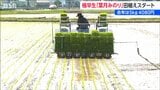 新潟県産米のトップバッター 極早生品種『葉月みのり』田植え始まる  今年の価格は下がる見通し|TBS NEWS DIG