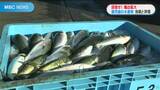 養殖ブリにかつお節…輸出額過去最高「水産県」鹿児島　さらなる輸出増へ　|　鹿児島のニュース｜MBC NEWS｜南日本放送