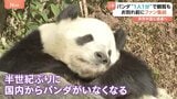 日本から半世紀ぶりにパンダがいなくなる…双子パンダ中国へ返還　16日から観覧は“1分制限”|TBS NEWS DIG