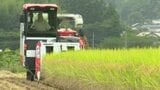 愛媛県のブランド米“ひめの凜”収穫最盛期 愛媛|TBS NEWS DIG