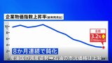 8月の企業物価指数 前年同月比30か月連続で上昇も8か月連続で伸び鈍化 |TBS NEWS DIG