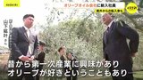 「この業界に貢献したい」　世界一位に輝いた「オリーブオイル」の会社に新入社員　転出超過が全国最多の広島で　“新卒” “Iターン” “Uターン”…全員が農業未経験　社長「新規で飛び込む姿が素晴らしい」|TBS NEWS DIG