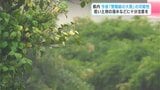 高知県内は24日夜遅くにかけて「警報級の大雨」の可能性 低い土地の浸水などに注意|TBS NEWS DIG