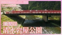 清水岩屋公園 ~桜と清流と摩崖仏~【JNN sakuraドローンDIG 2024】|TBS NEWS DIG
