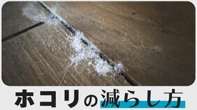 ホコリが溜まりにくいチャンスは「1日に2回」 効果的な掃除の時間をプロに聞いてみた|TBS NEWS DIG