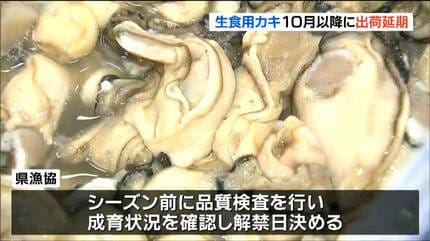 海のミルク」に何が…宮城県産カキ出荷解禁 10月以降に延期 海水温上昇